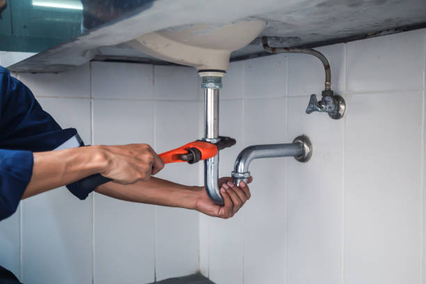 Best Local Plumber Services  in Newman, CA